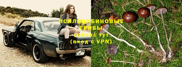 гашишное масло Богданович
