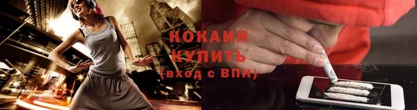 прущие грибы Богородицк
