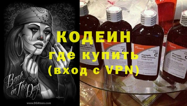 прущие грибы Богородицк