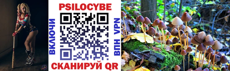 Псилоцибиновые грибы прущие грибы  Купить  Рыльск 